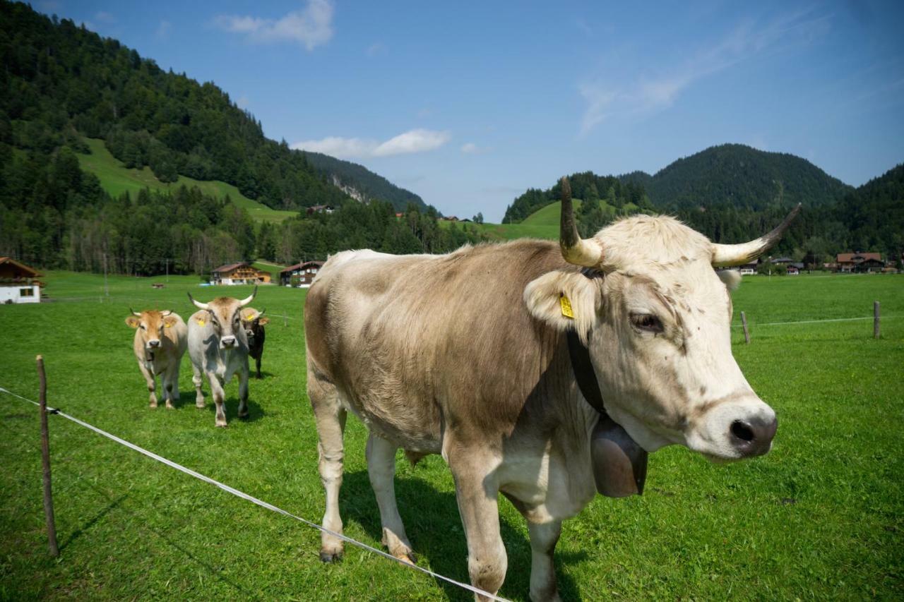 Geigers Ferienhaus Tiefenbach bei Oberstdorf Екстериор снимка